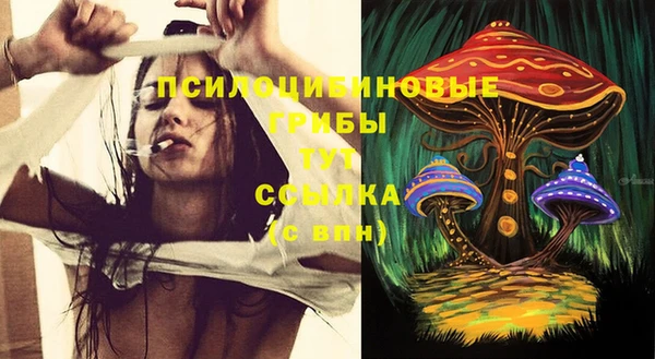 МДПВ Алзамай
