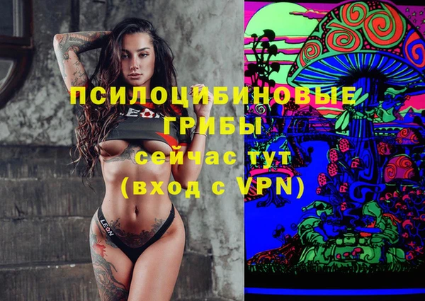 соль курить ск Алексин