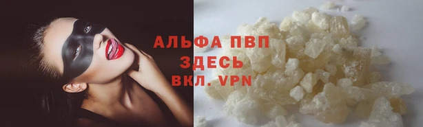 гашик Алексеевка