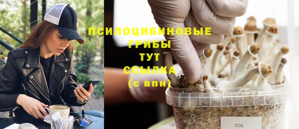 соль курить ск Алексин