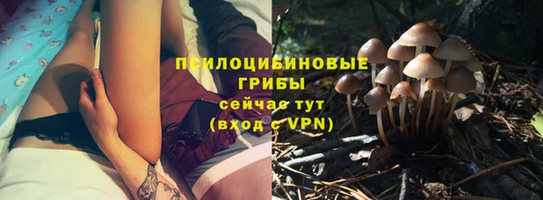 гашик Алексеевка