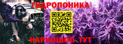 гашик Старая Купавна