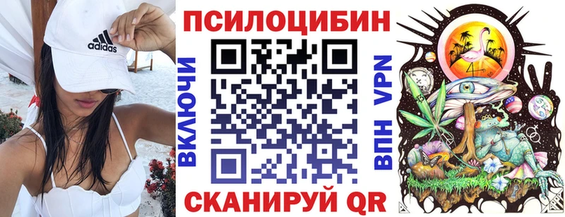 Галлюциногенные грибы Psilocybine cubensis  Сочи 