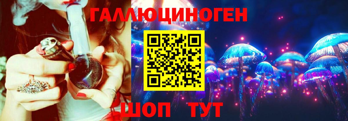 Галлюциногенные грибы Psilocybine cubensis Сочи